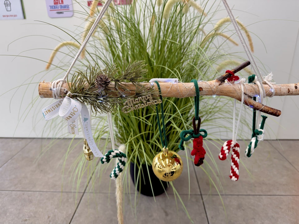 브로콜리 지역정보 관련 사진 17