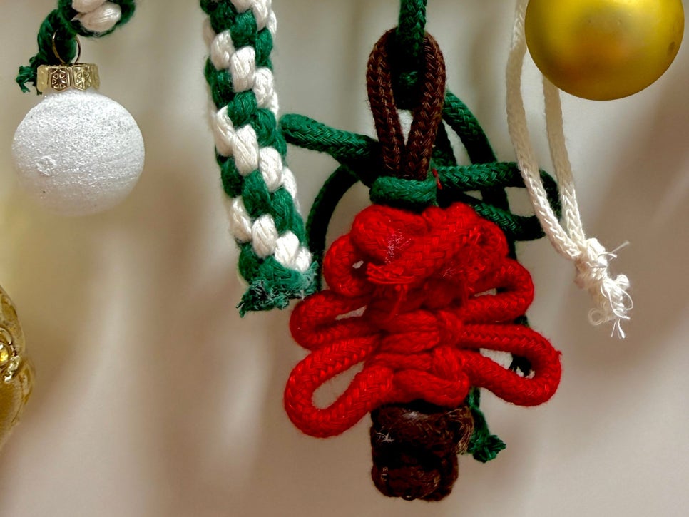 브로콜리 지역정보 관련 사진 14