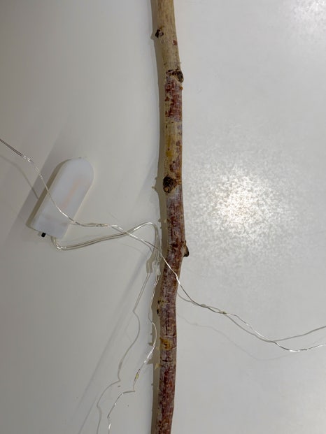 브로콜리 지역정보 관련 사진 8