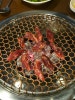 솔낭구 사진 6