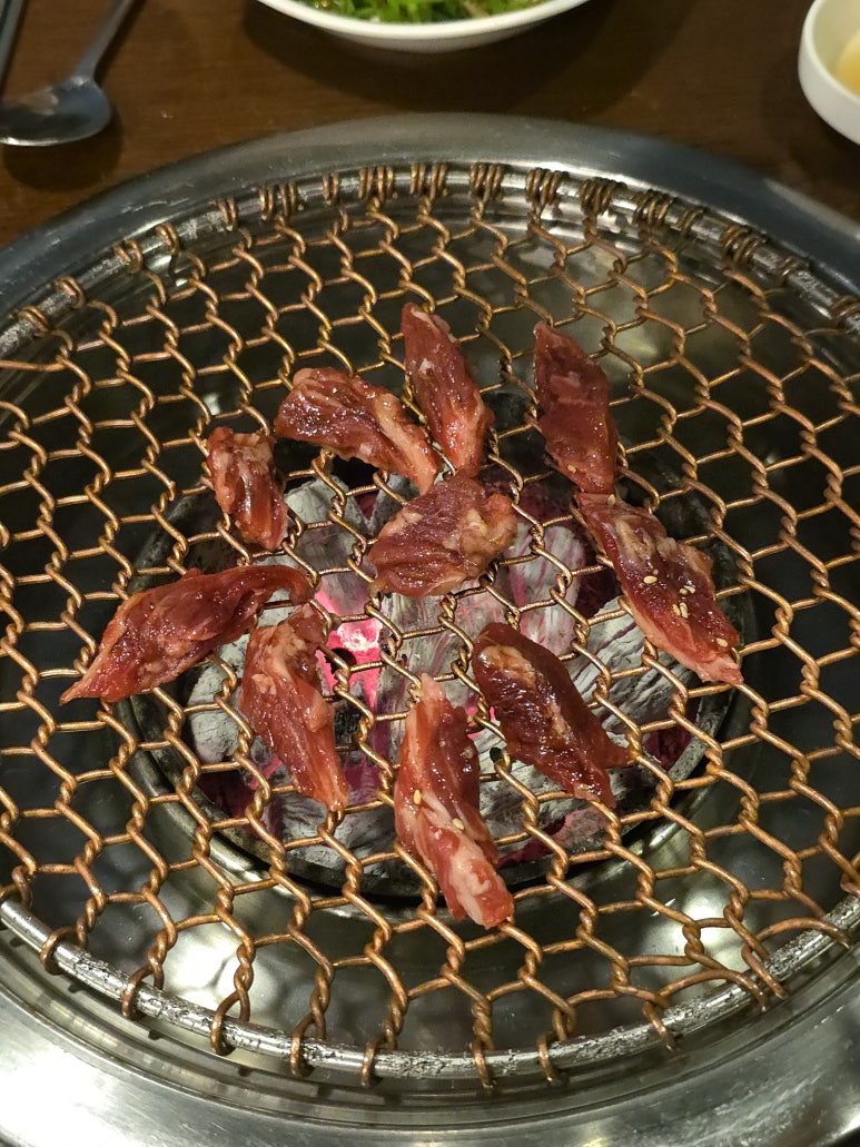 솔낭구 사진 6