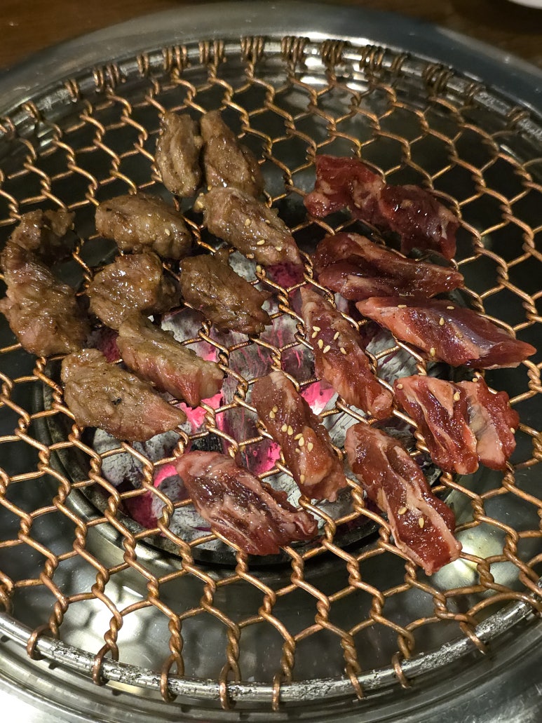 솔낭구 사진 7