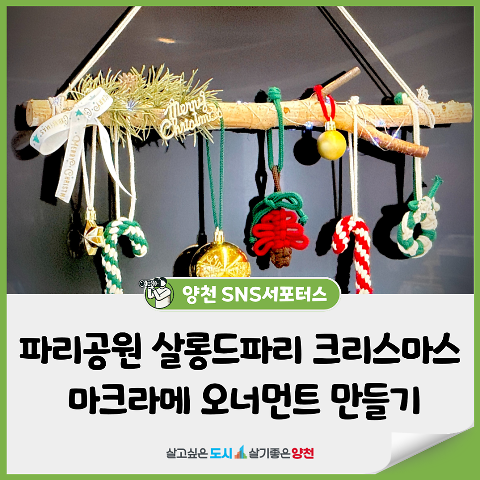 브로콜리 지역정보 관련 사진 1