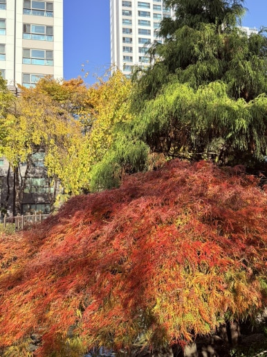 타이거꼬마김밥 대치점 사진 7