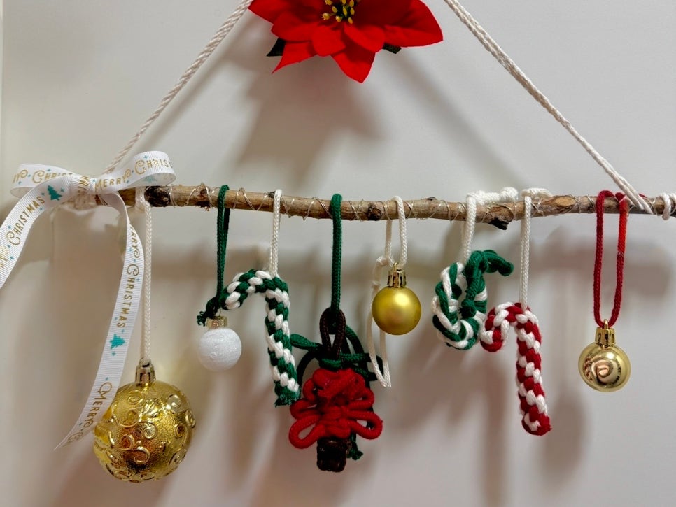 브로콜리 지역정보 관련 사진 15