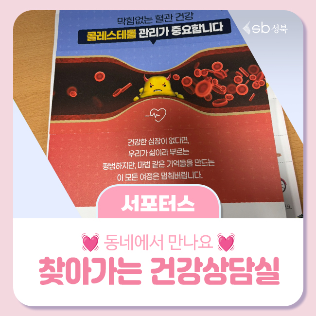 브로콜리 지역정보 관련 사진 1