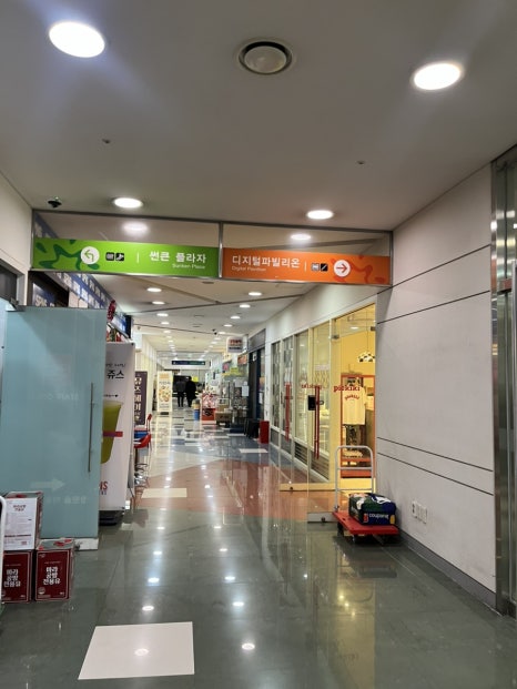 파이키키 사진 4