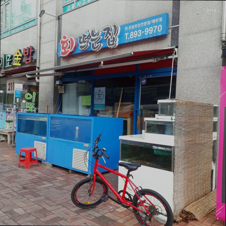 회뜨는집 사진 3