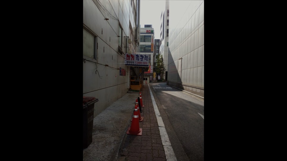 영덕대게 사진 6