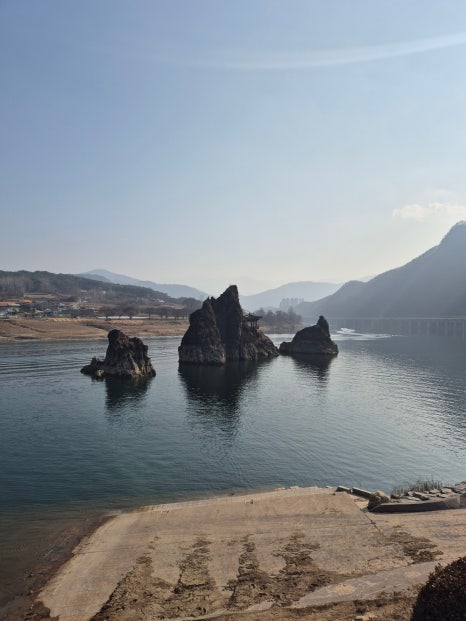 단양 댕댕이애견펜션 이미지