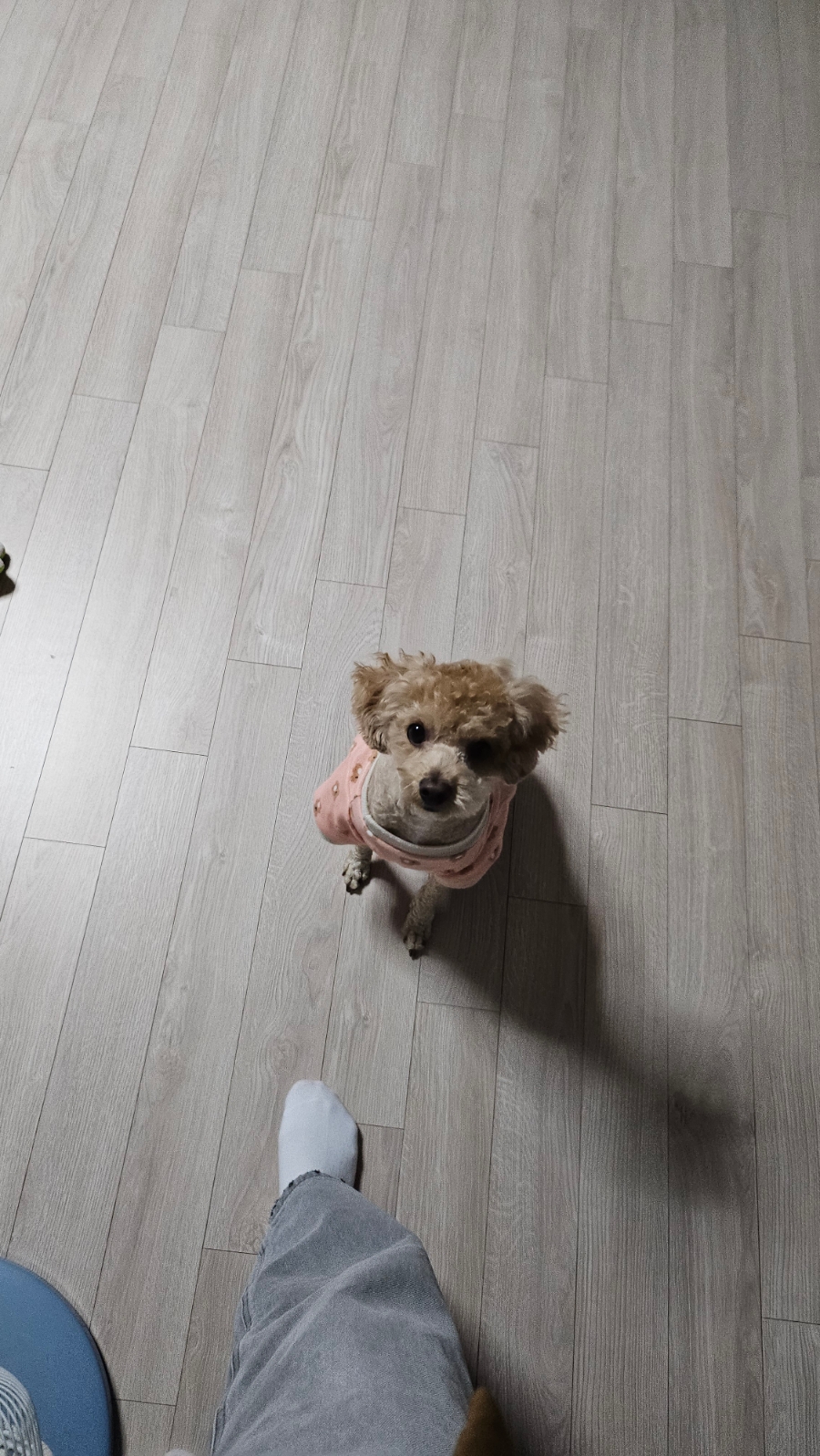 그냥작고소박한 부평점 사진 3