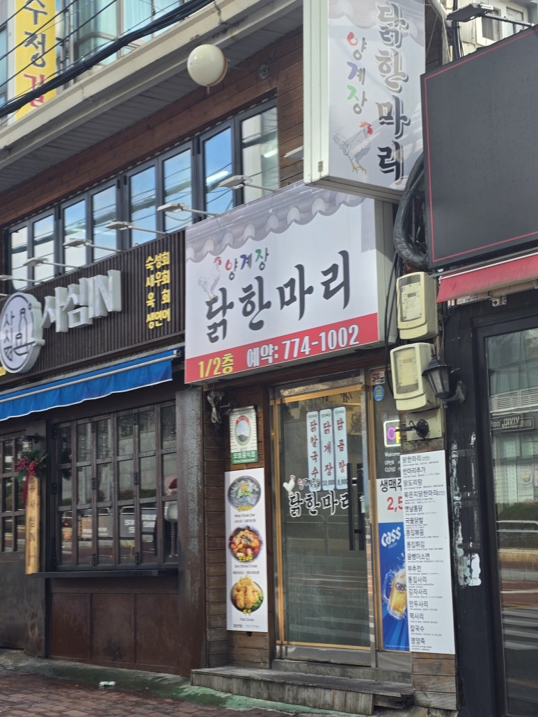 마리먹자 사진 4