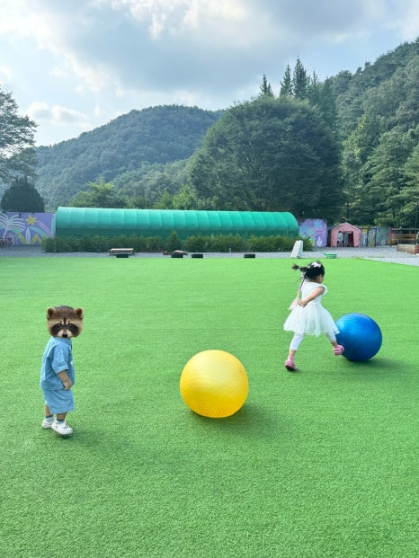 팝스월드 단양 이미지