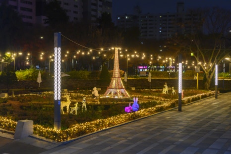 브로콜리 지역정보 관련 사진 6