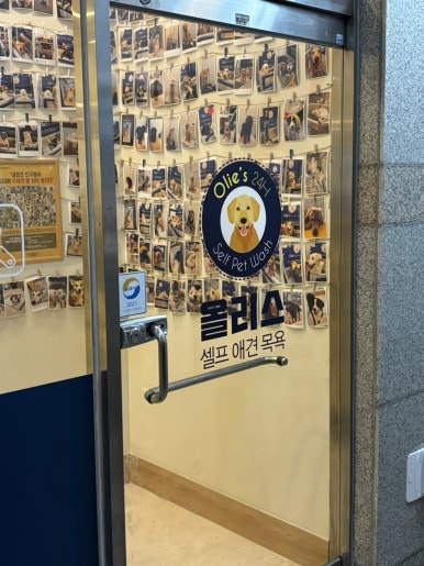 올리스24 창원성산점 후기 사진