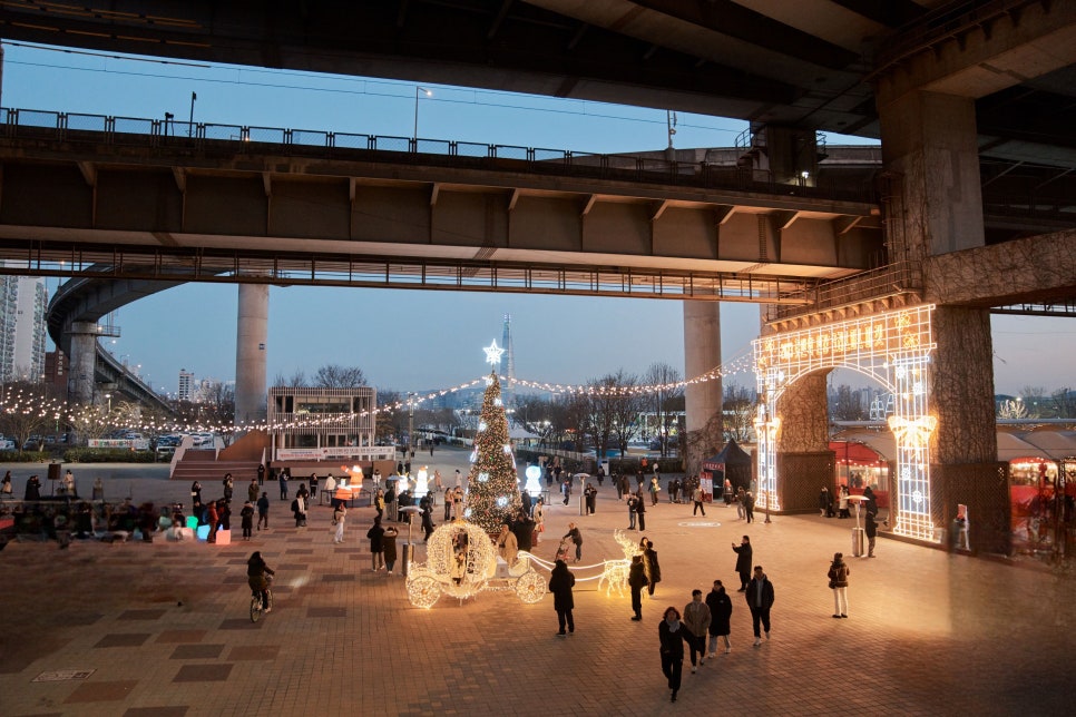 브로콜리 지역정보 관련 사진 2