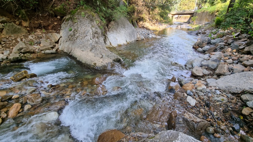 오그란이단팥빵 이미지