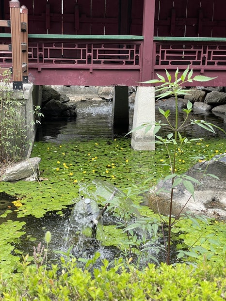 온달관광지 이미지