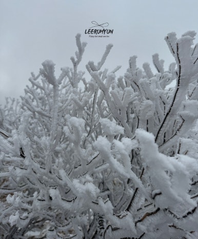 김밥천국 단양점 이미지