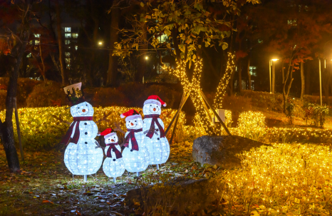 브로콜리 지역정보 관련 사진 9