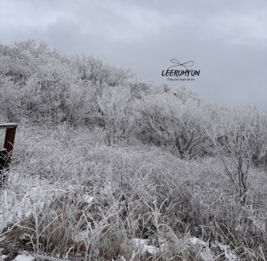 김밥천국 단양점 이미지