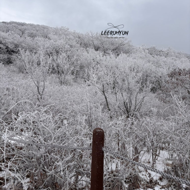 김밥천국 단양점 이미지