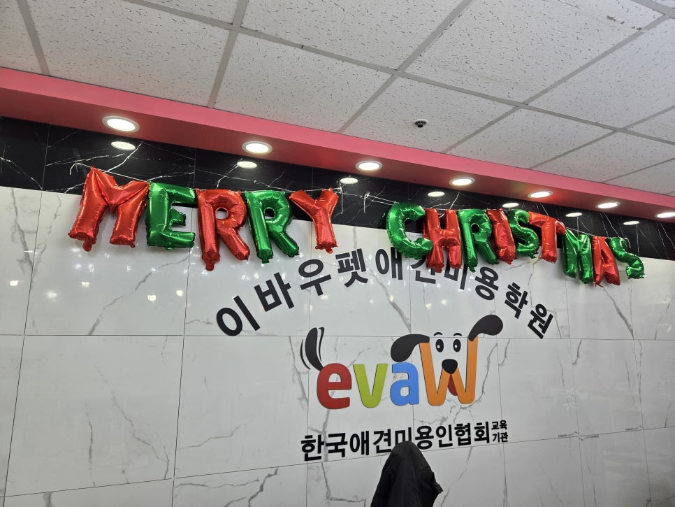 수원 애견미용학원, 이바우펫 자격증 취득 과정 — 사진 2