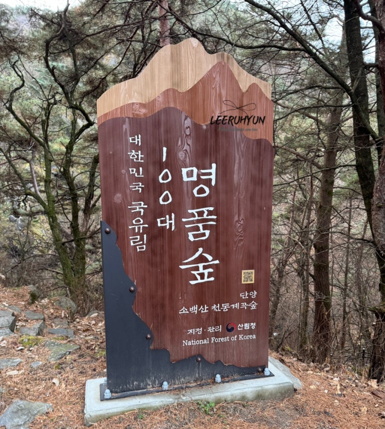 김밥천국 단양점 이미지