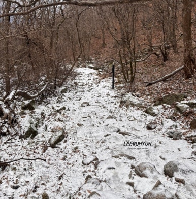 김밥천국 단양점 이미지