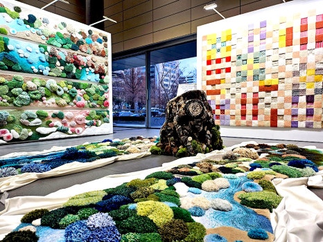 브로콜리 지역정보 관련 사진 4