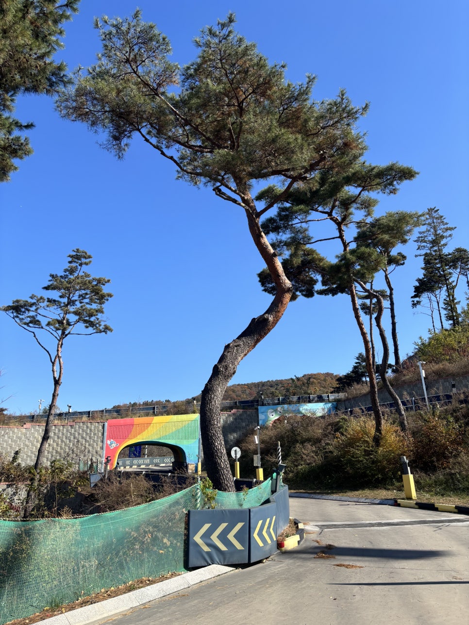 경주 가족여행 코스: 루지월드 포함 12월 겨울 추천
