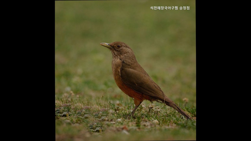 석천해장국아구찜 사진 6