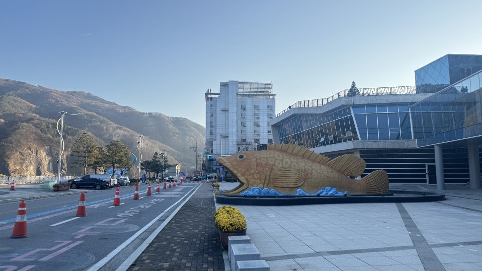 그집쏘가리 이미지