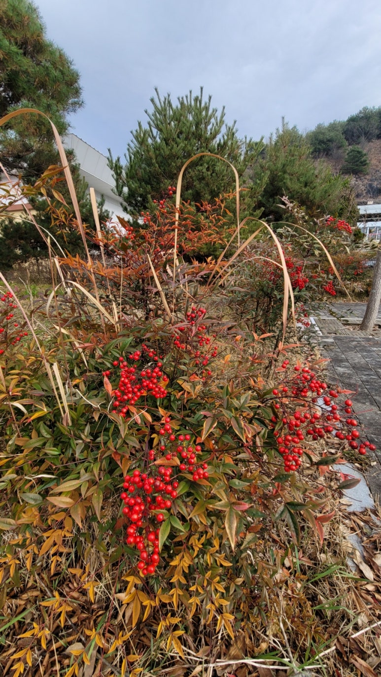 덕담펜션 이미지