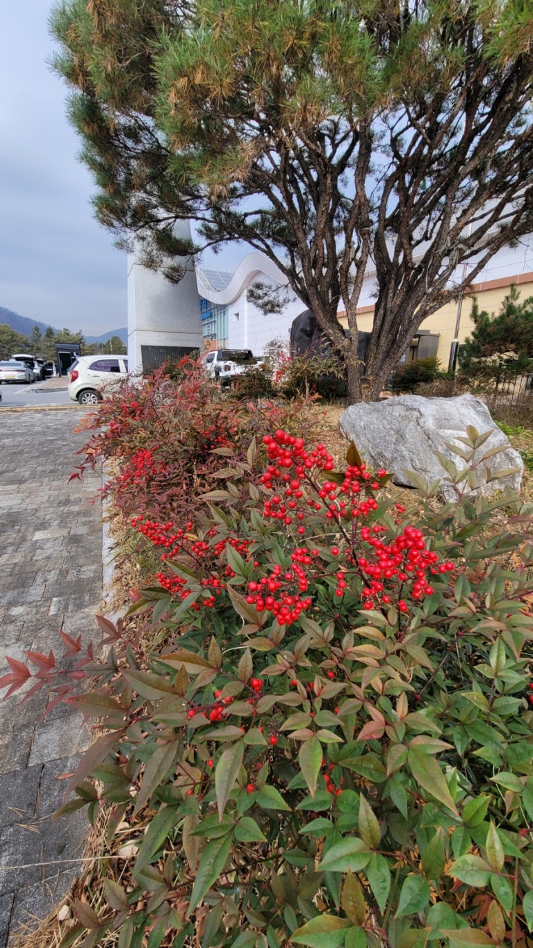 덕담펜션 이미지