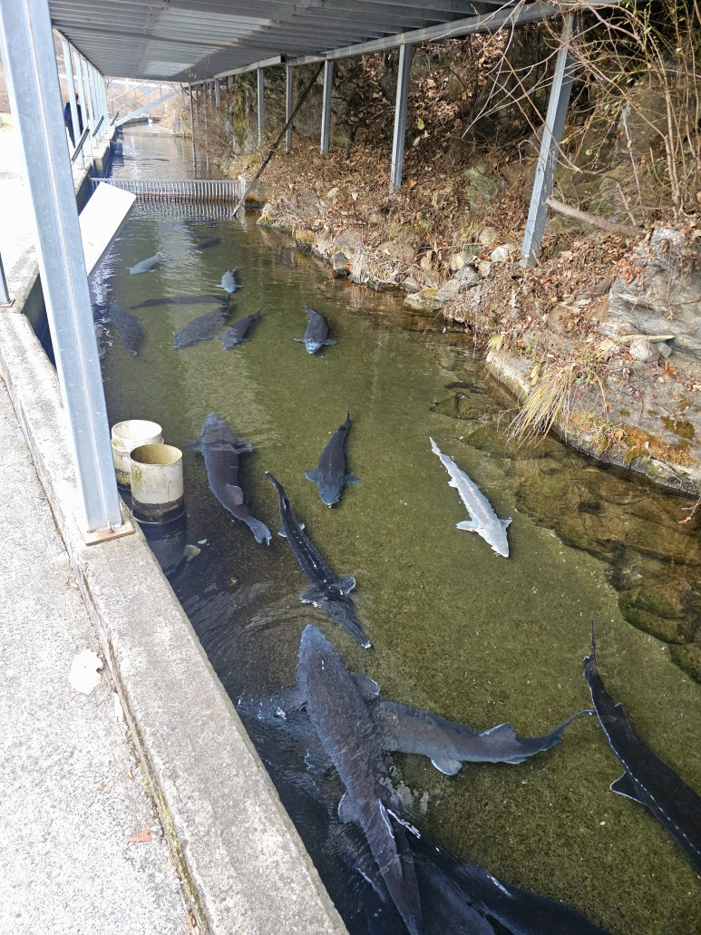 옥동양어장횟집 이미지