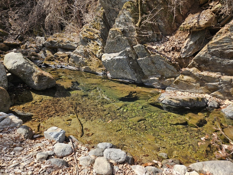 뚜벅이하우스펜션 이미지