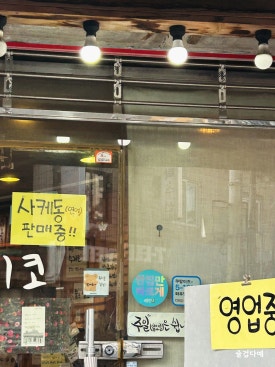 쯔이코 사진 5
