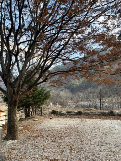 단양남천캠핑장 이미지