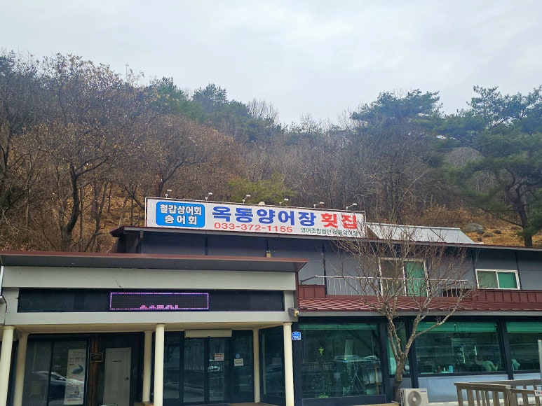 옥동양어장횟집 이미지