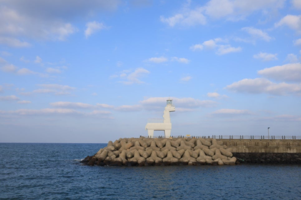 제주뼈칼국수 사진 4