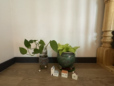 노엘의다락방 이미지