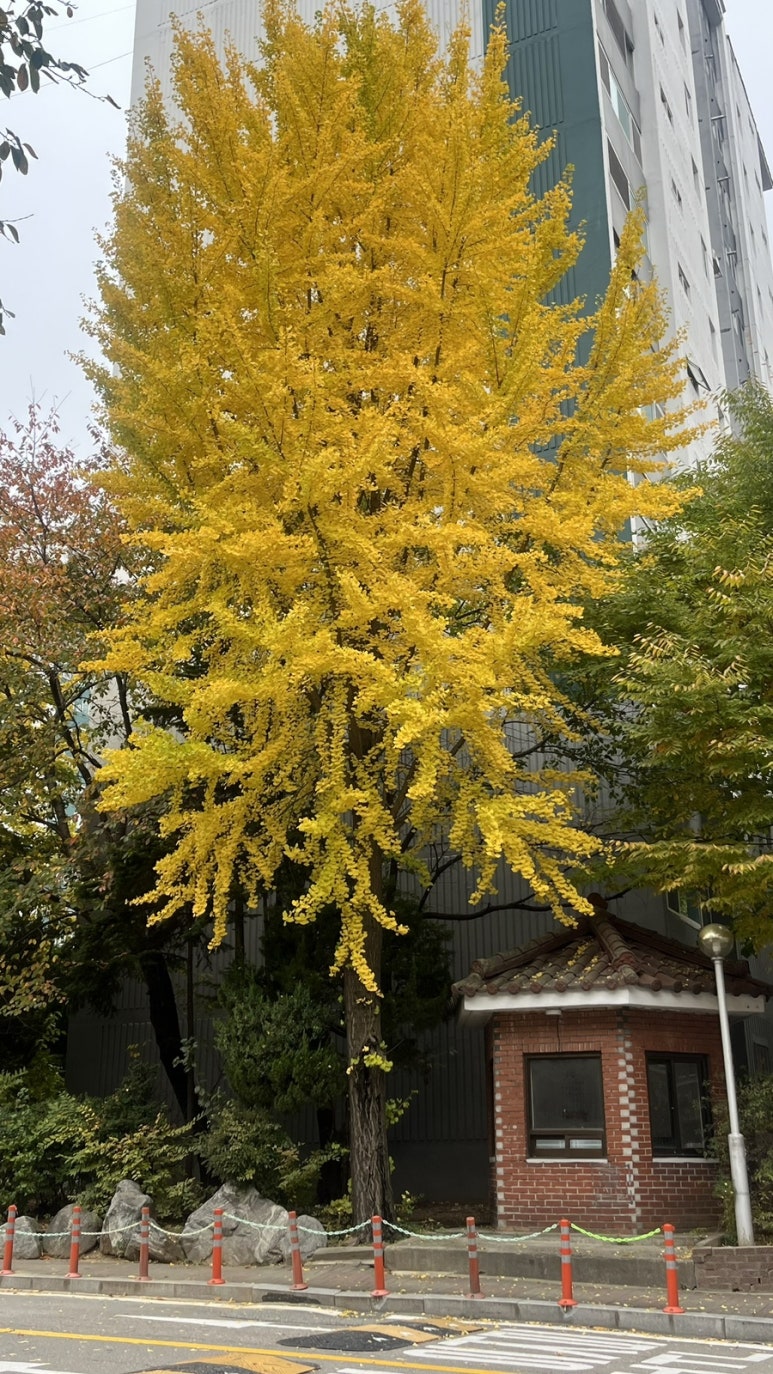 오봉집 안산선부점 사진 2