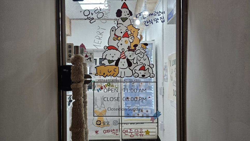 강남 강아지 케이크 당일 제작 전문 왈랑 — 사진 6
