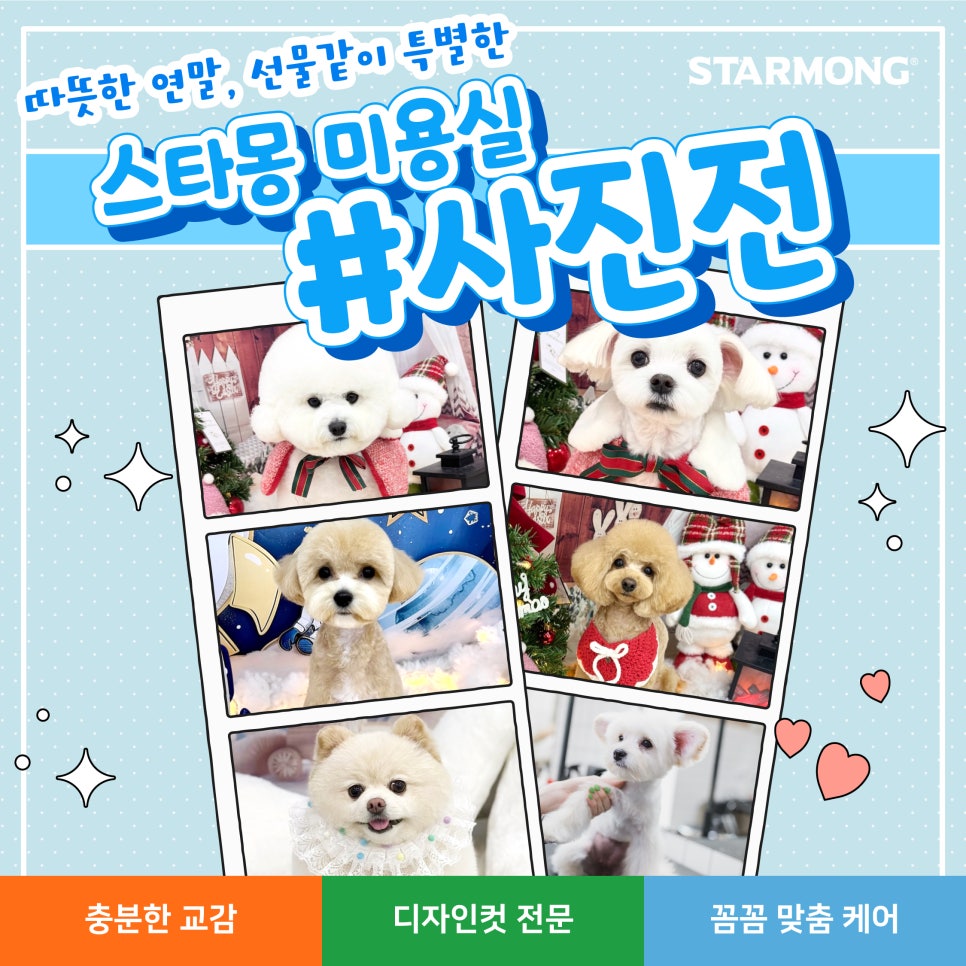 서초 강아지 미용: 스타일별 커트와 비용 안내