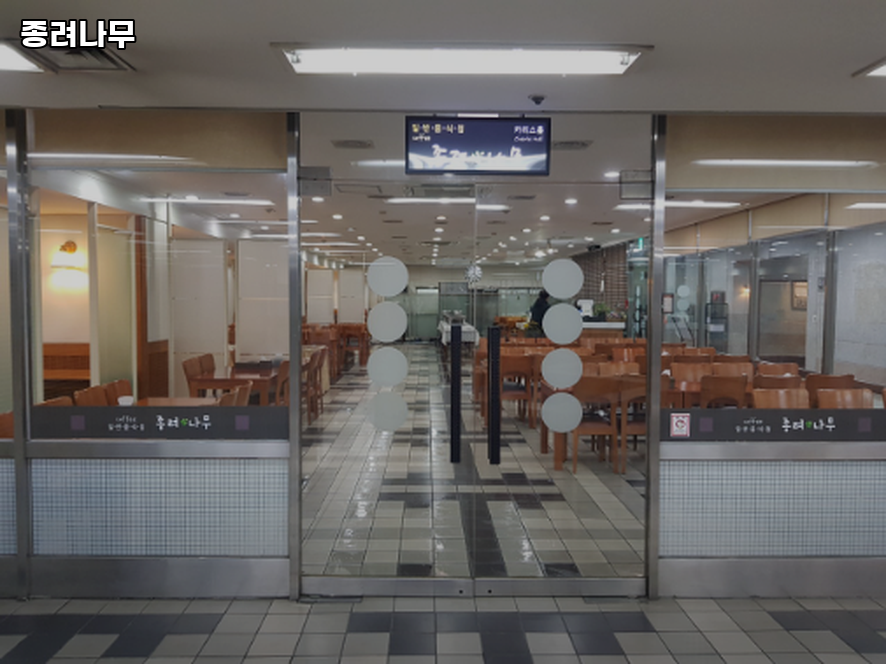 종려나무 사진 2