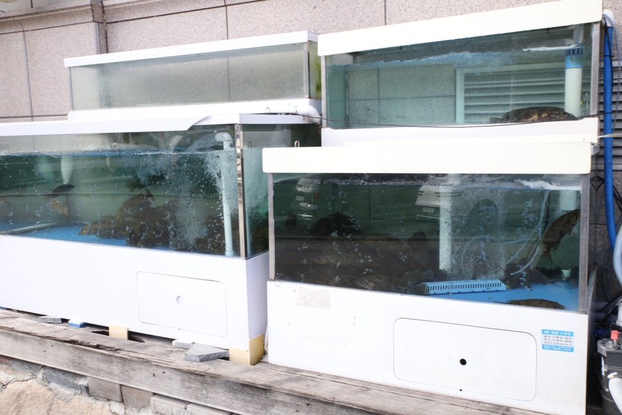 단양민물매운탕쏘가리 이미지