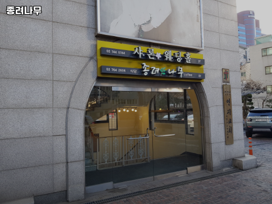 종려나무 대표 사진
