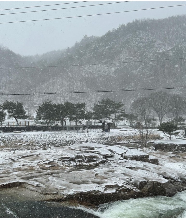 유라이크 이미지