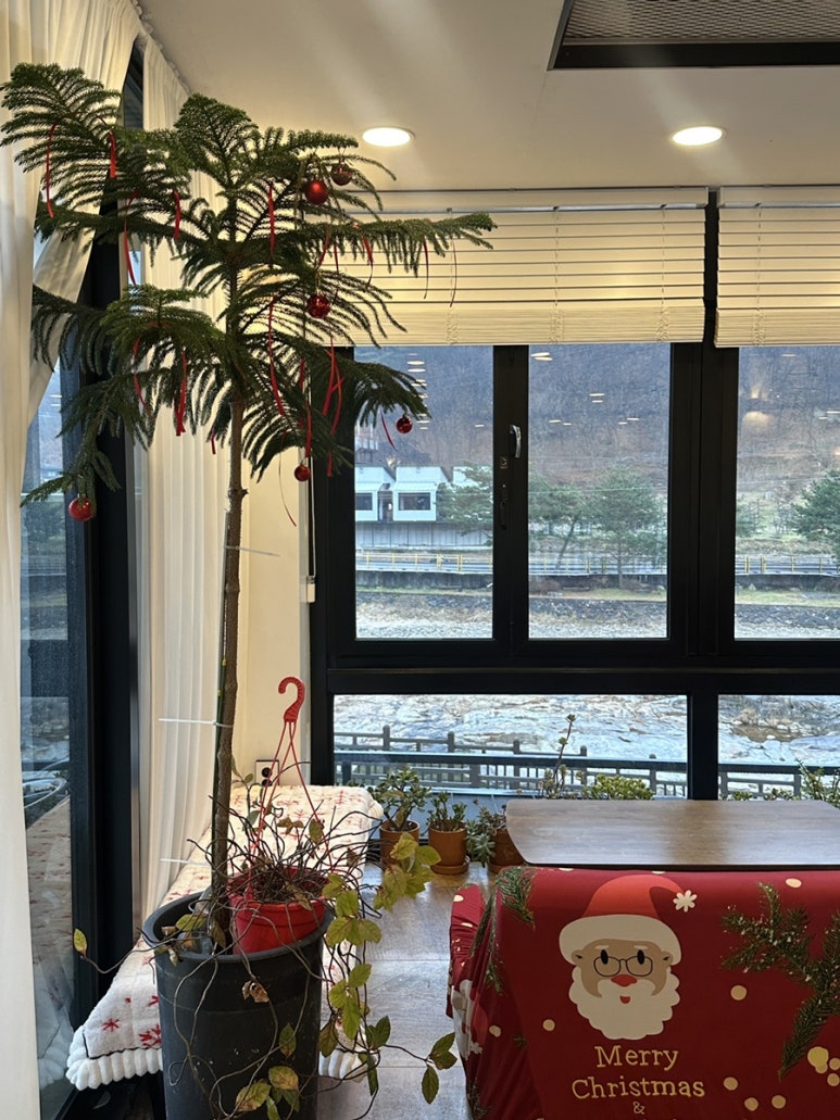 유라이크 이미지